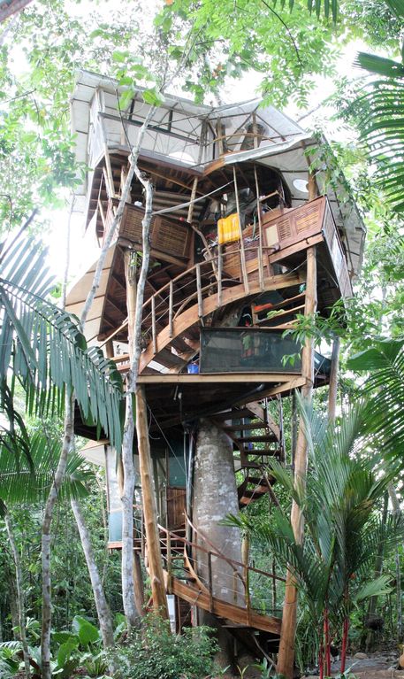 Tree House Costa Rica