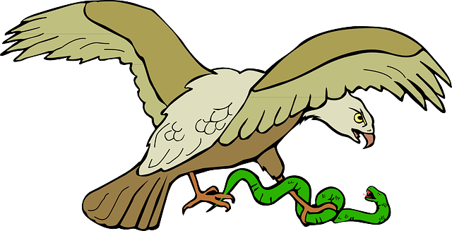 Eagle with snake