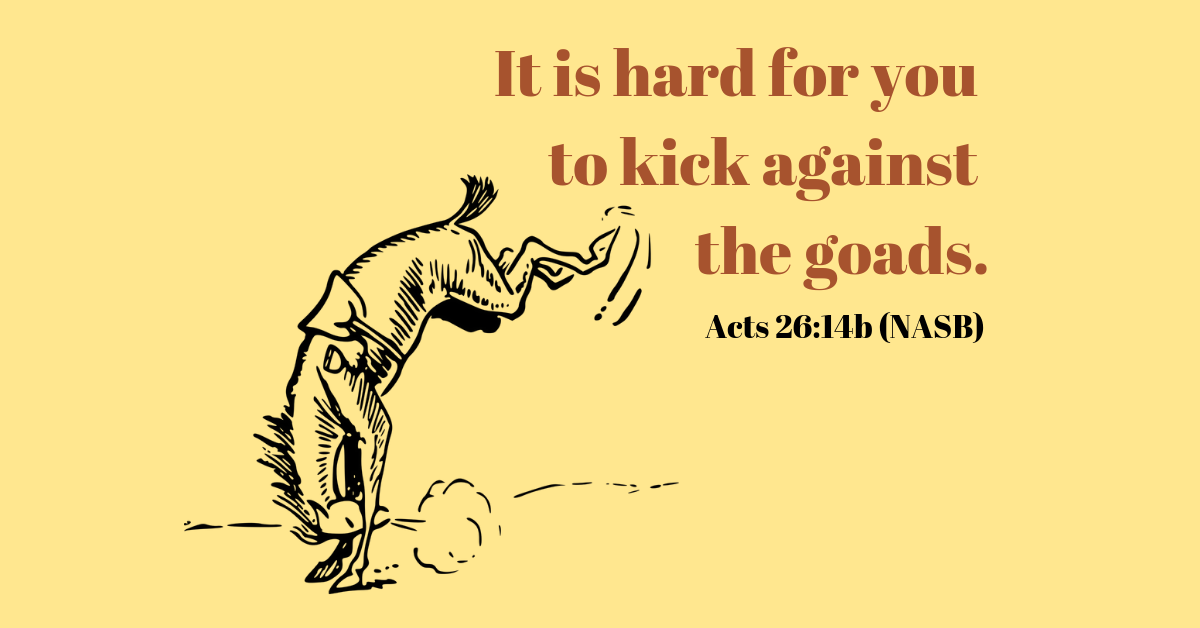 What Does Jesus Mean by “Kick Against the Goads”?