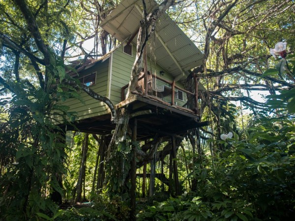Romantic Treehouse