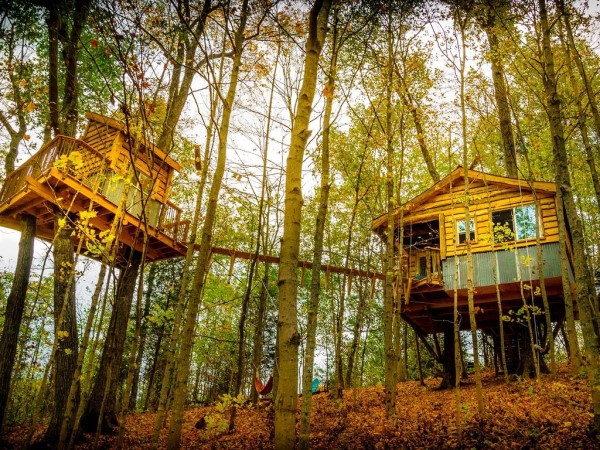 Treehouse The Aliyah