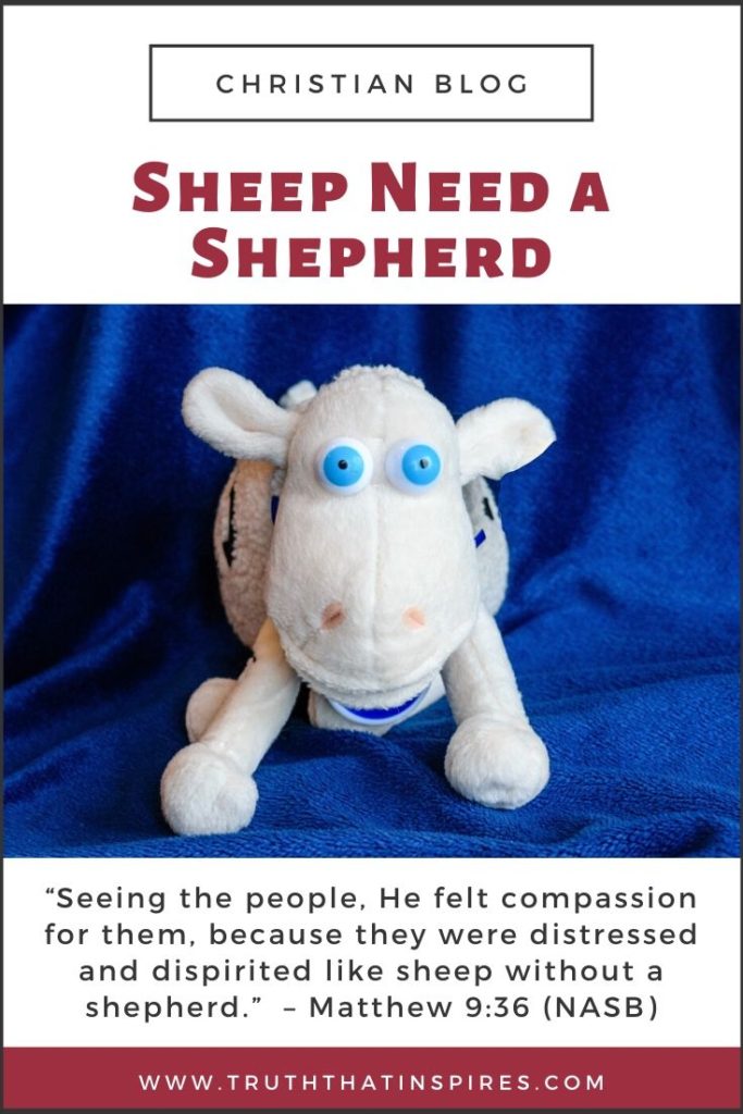Sheep Need a Shepherd