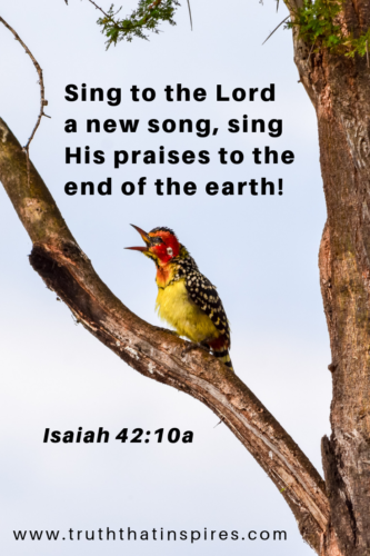 Isaiah42 10.Pinterest