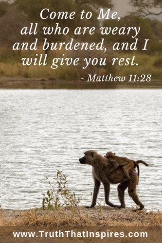 Matthew11 28